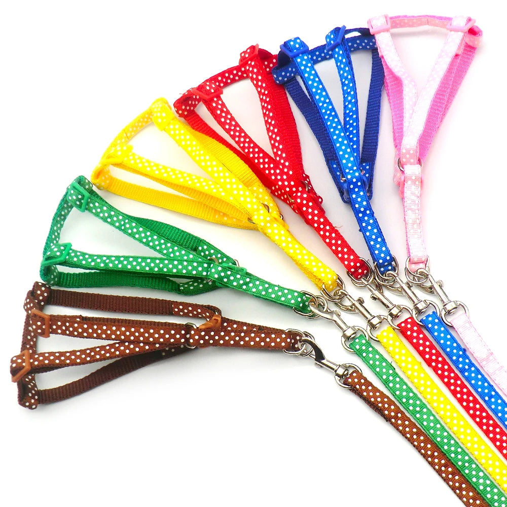 24 pcs/lot Dog Cat Collar Leash Pet Collar Lead for Puppy Small Pet Outdoor Walking Dots printing Chihuahua Terier Schnauzer