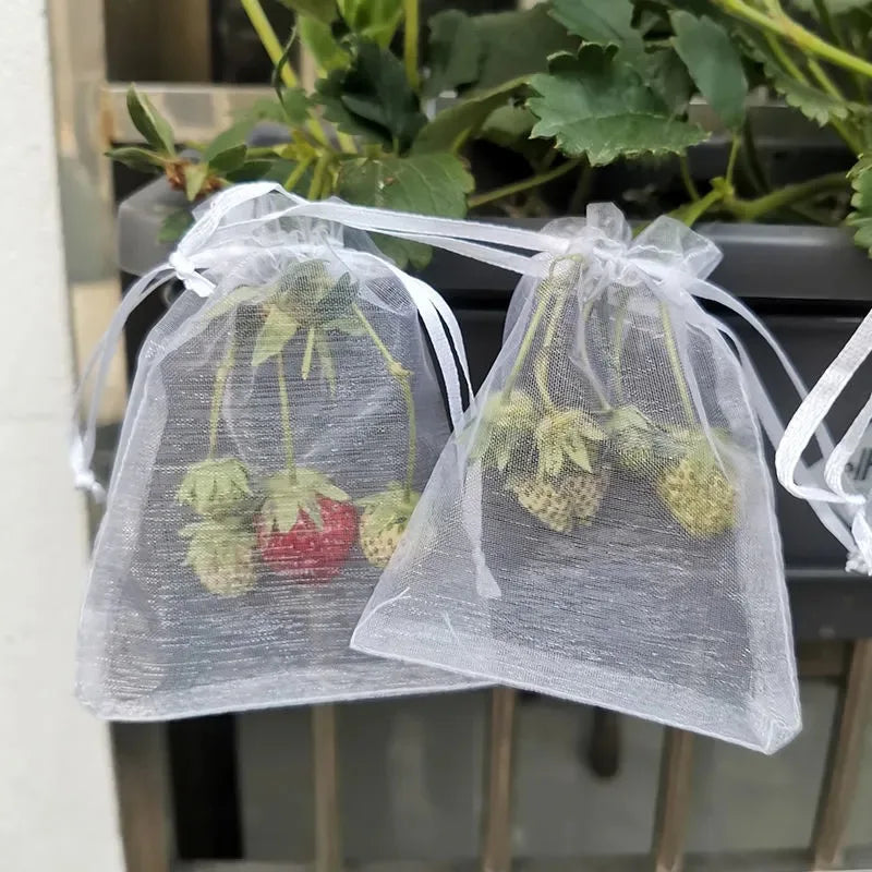 Wholesale Fruit Protection Bags Pest Anti-Bird Garden Netting Strawberry Bags Mesh Grapes Bag Drawstring Planter Grow Bags