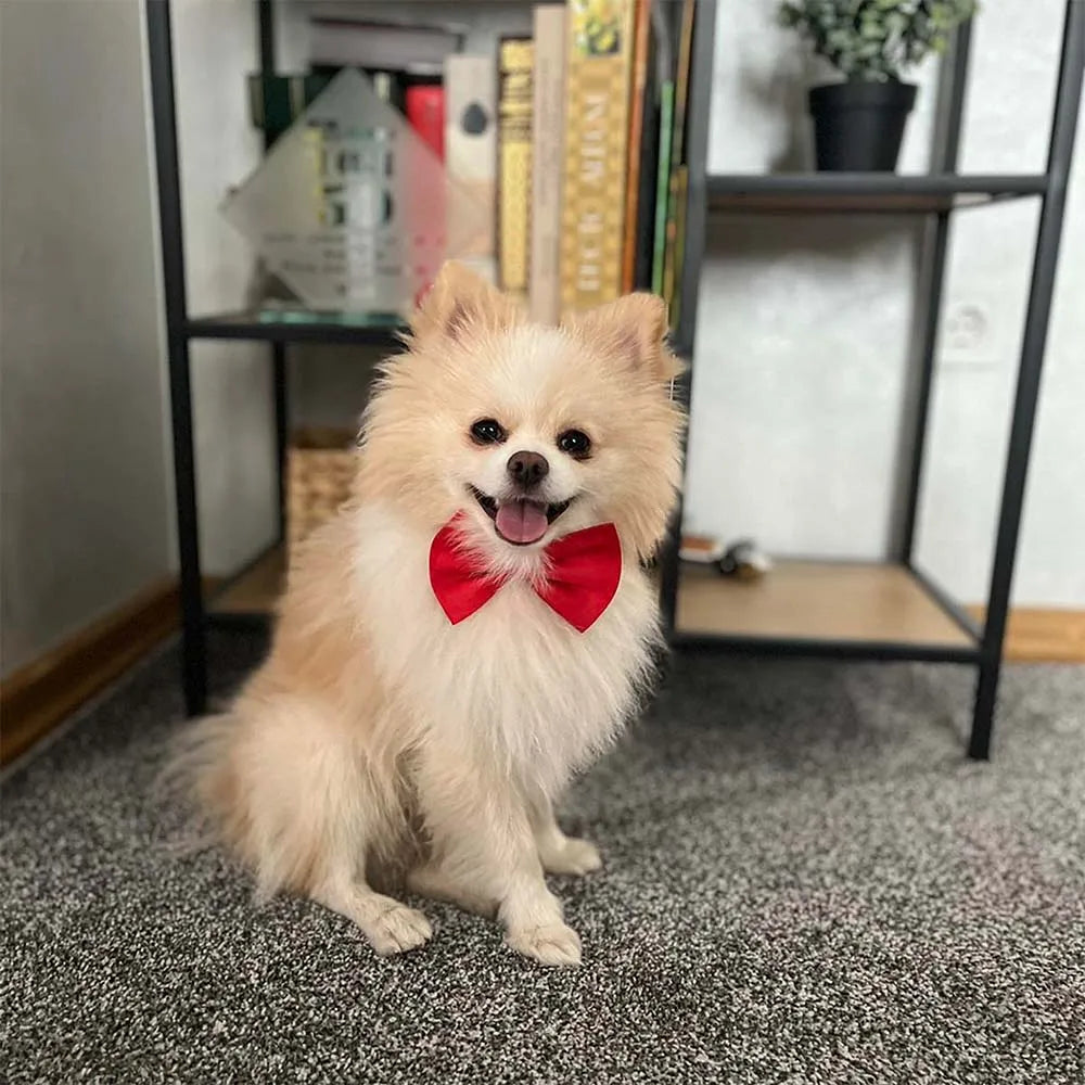 Wholesale 100/50/20 Cute Adjustable Dog Cat Bow Tie Neck Ties Dogs Puppy Bowties Pets Grooming Accessories Pet Dog Supplies